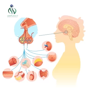 اعراض ورم الغدة النخامية